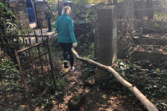 img-20191011-wa0012