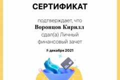 voronczov-kirill-i-s201-