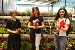 snimok-ekrana-2023-06-23-161521