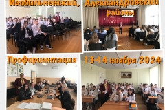 Processed with MOLDIV