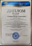 gubarev-n._diplom-rgeu