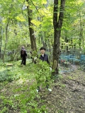 image-16-05-25-11-58-6