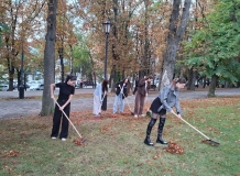 img_20260925_113134_154