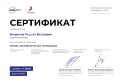 inshakov-rodion-igorevich-p-s212-