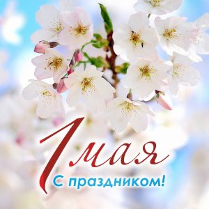 Дорогие преподаватели, сотрудники и студенты!